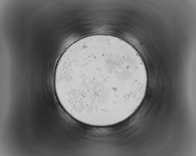 X0000088171338200705221614