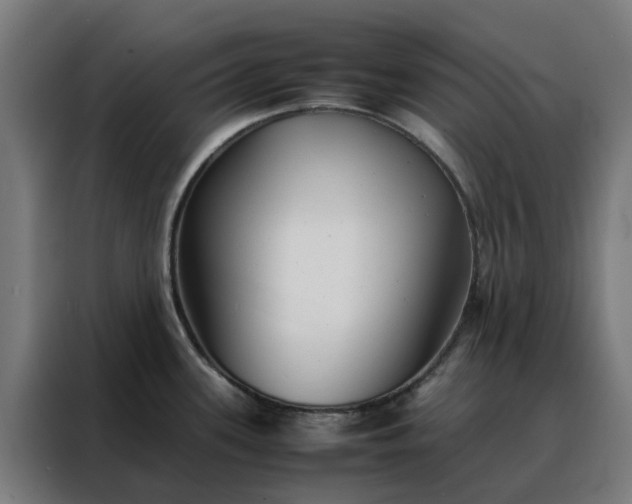 X0000088171339200705221614