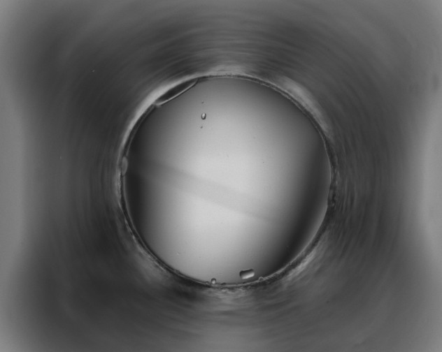 X0000088171340200705221614