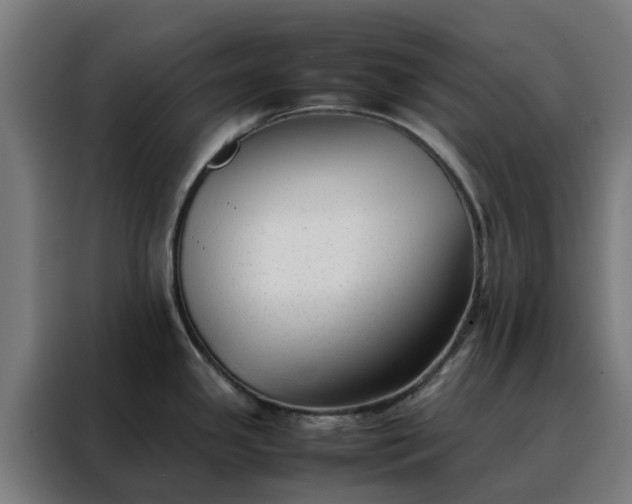 X0000088171341200705221614