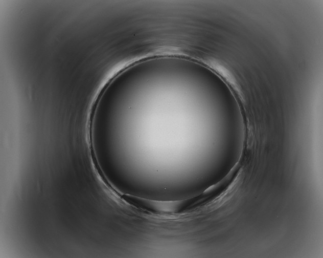 X0000088171342200705221614