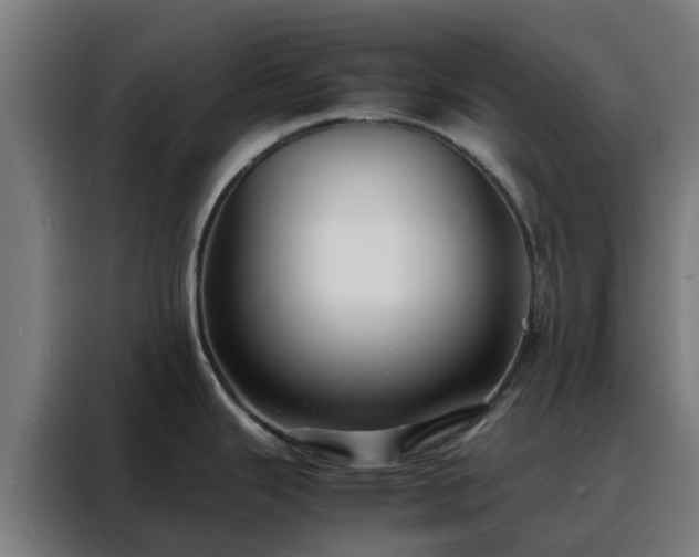 X0000088171343200705221614