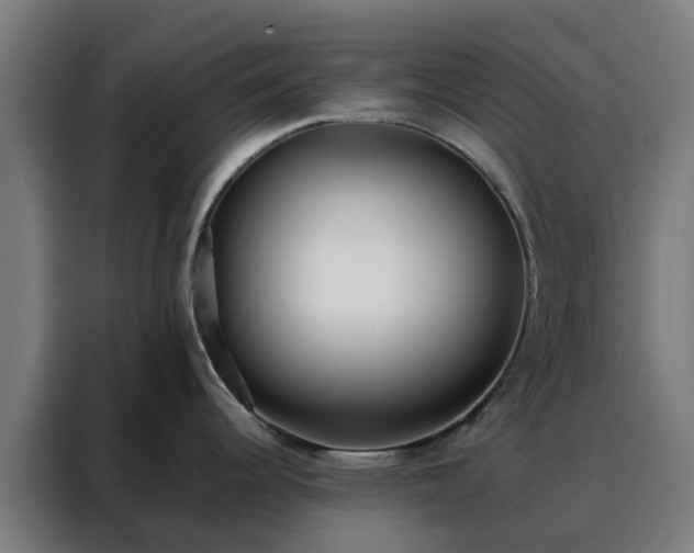 X0000088171344200705221614