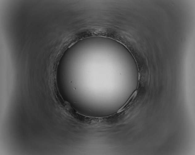 X0000088171345200705221613