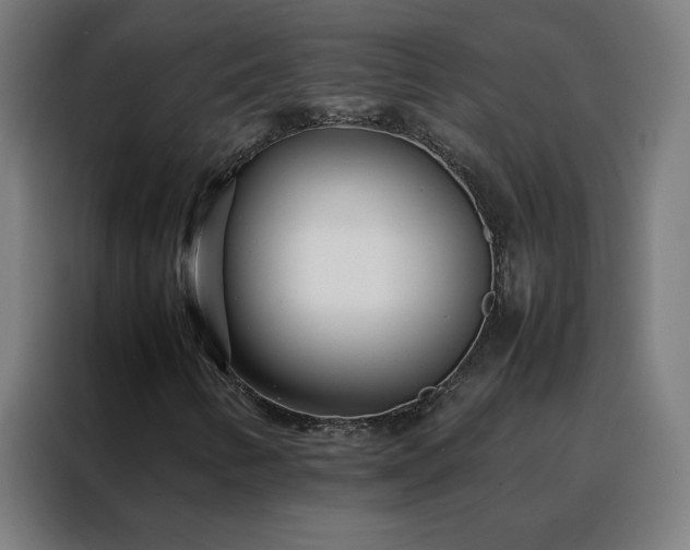 X0000088171346200705221613