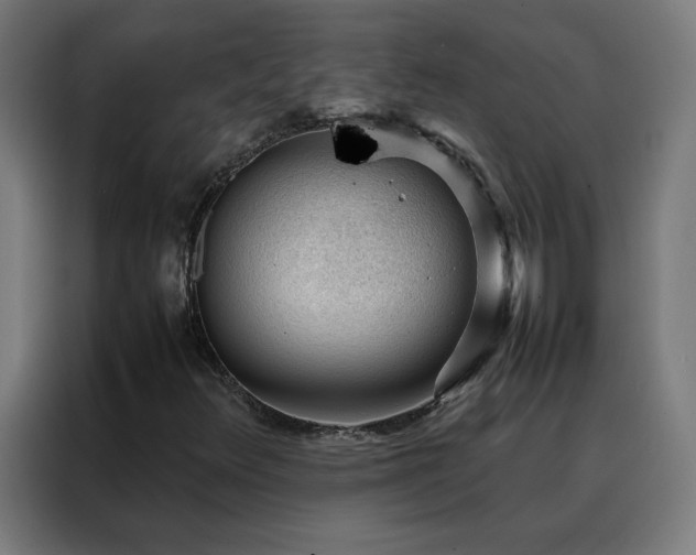 X0000088171348200705221613