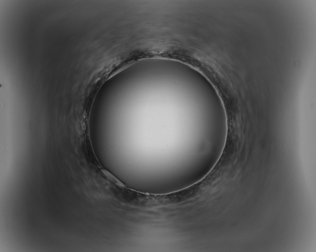 X0000088171349200705221613