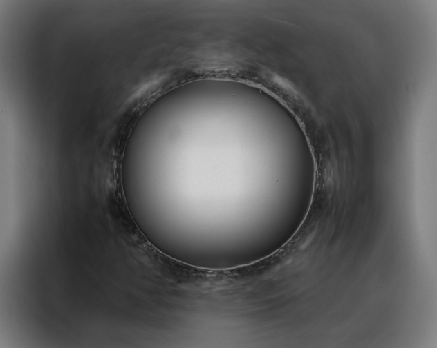 X0000088171350200705221613