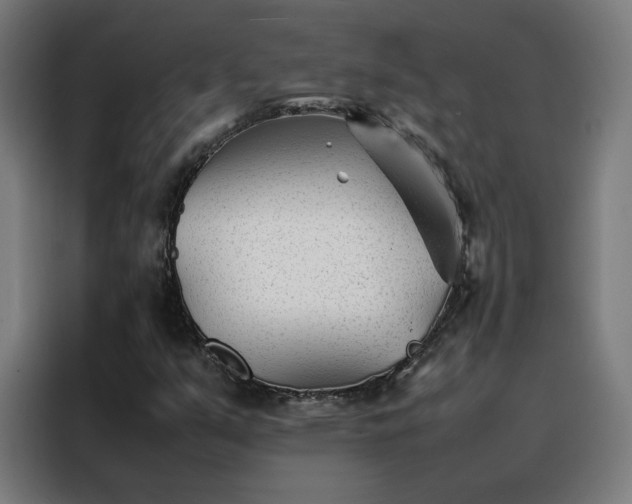 X0000088171351200705221613