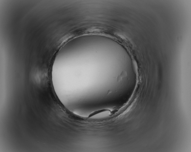 X0000088171353200705221613