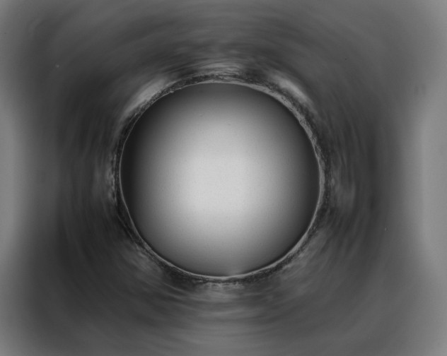 X0000088171354200705221613