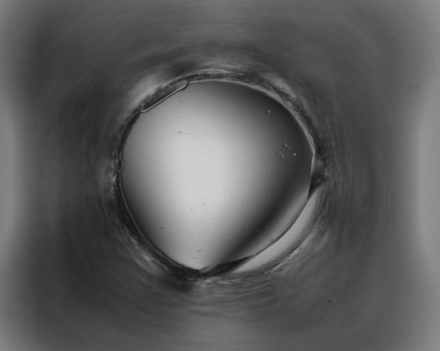 X0000088171355200705221613