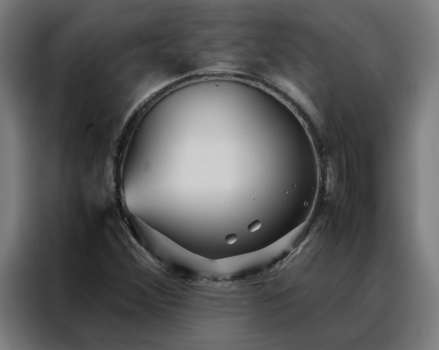 X0000088171356200705221613