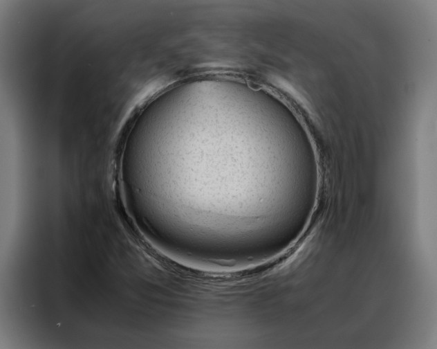 X0000088171357200705221613