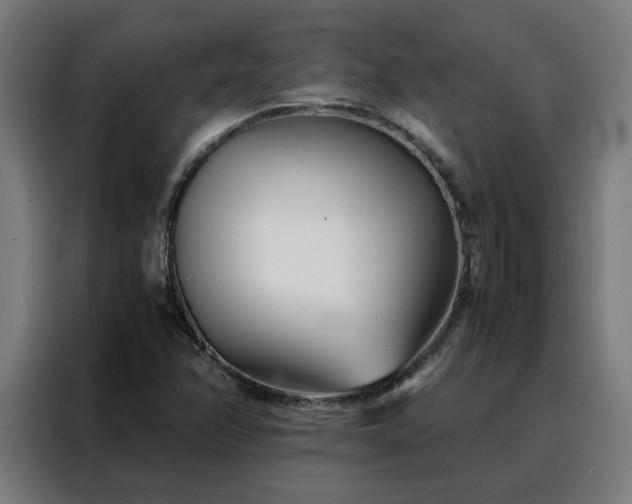 X0000088171358200705221613