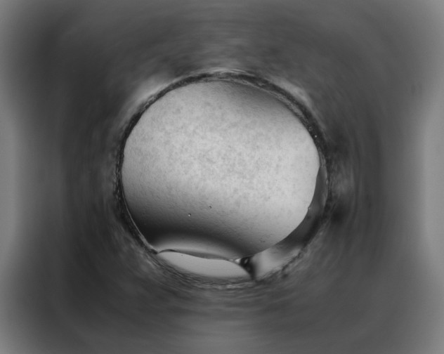 X0000088171359200705221613