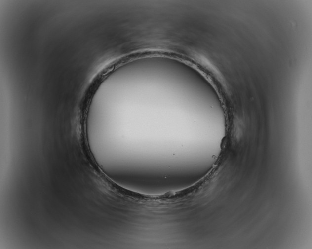 X0000088171360200705221613