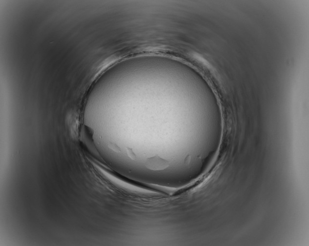 X0000088171361200705221613