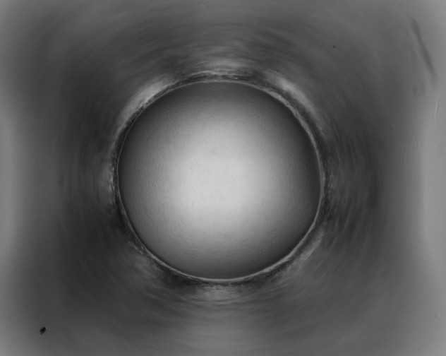 X0000088171362200705221613