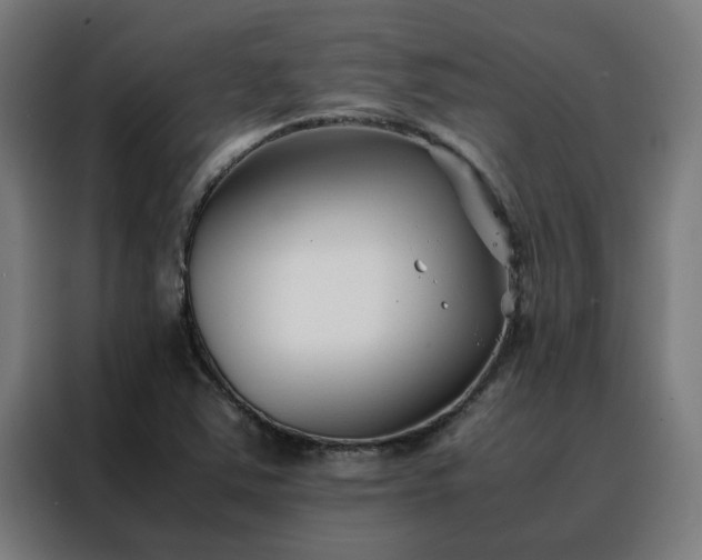 X0000088171363200705221613