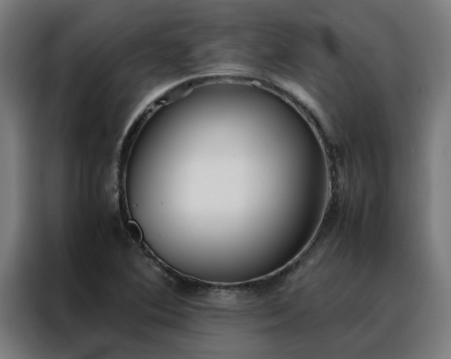 X0000088171364200705221613