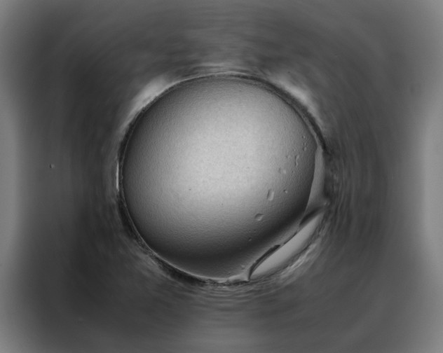 X0000088171365200705221613