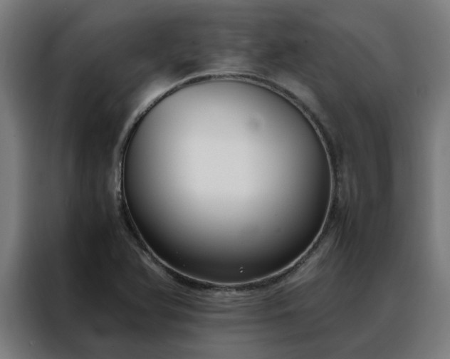 X0000088171366200705221613