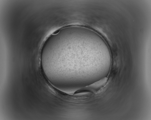 X0000088171367200705221613