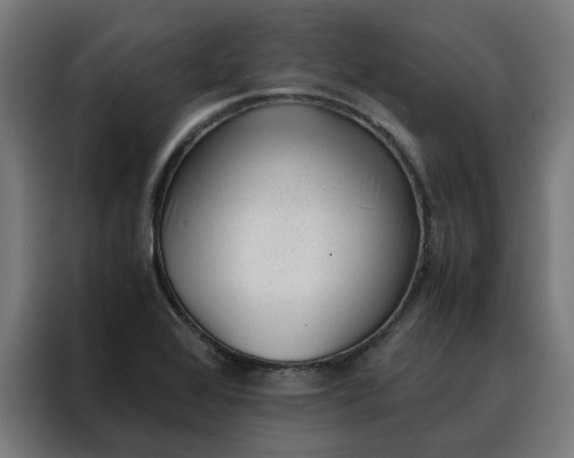 X0000088171368200705221613