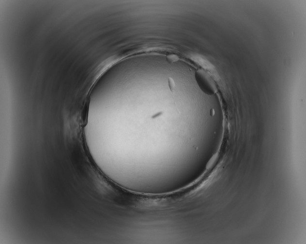 X0000088171369200705221613