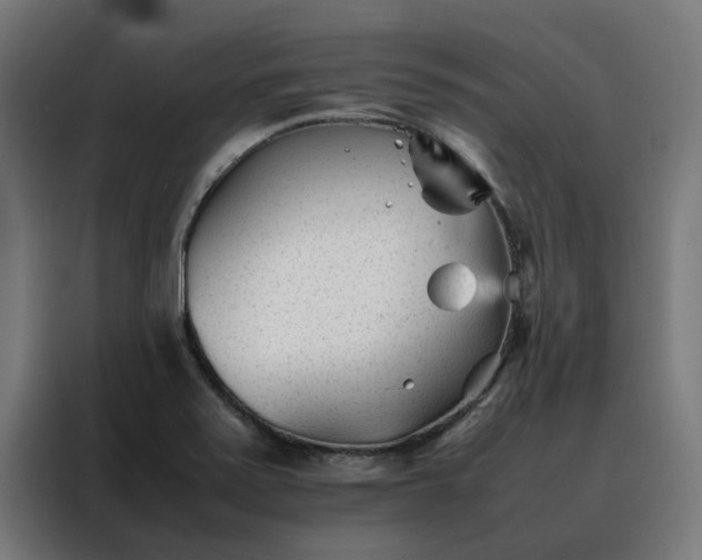 X0000088171371200705221613