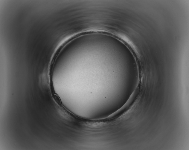 X0000088171372200705221613