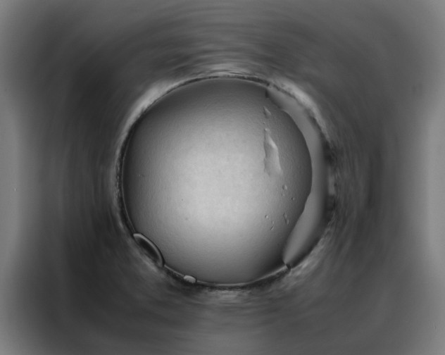 X0000088171373200705221613