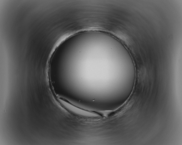 X0000088171374200705221613