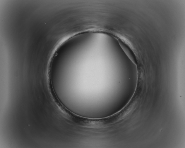 X0000088171375200705221613