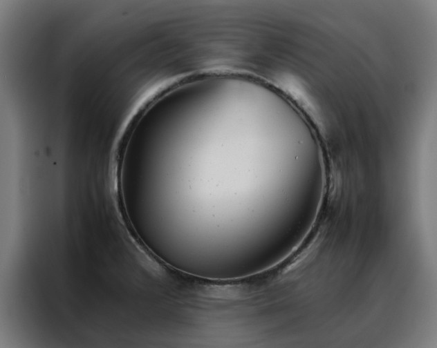 X0000088171376200705221613