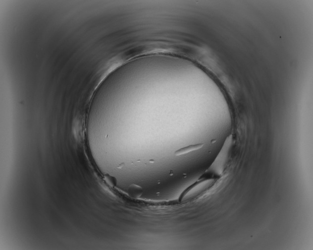 X0000088171377200705221613