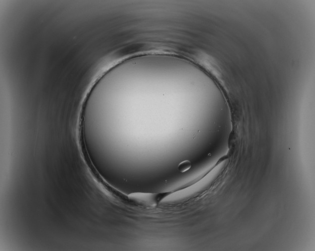 X0000088171379200705221613