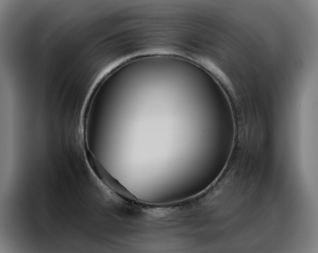 X0000088171380200705221613