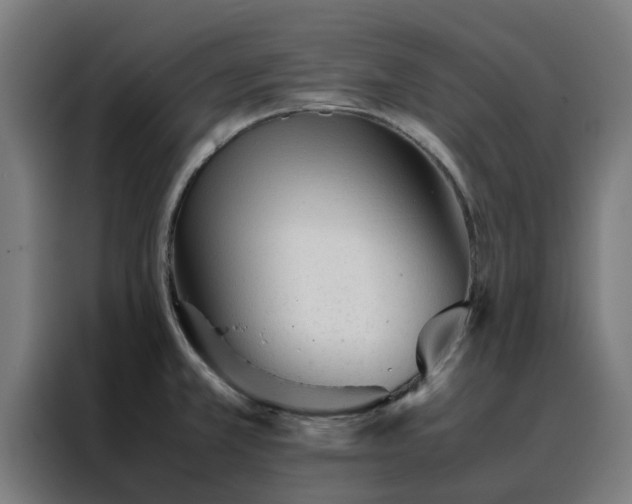 X0000088171381200705221613