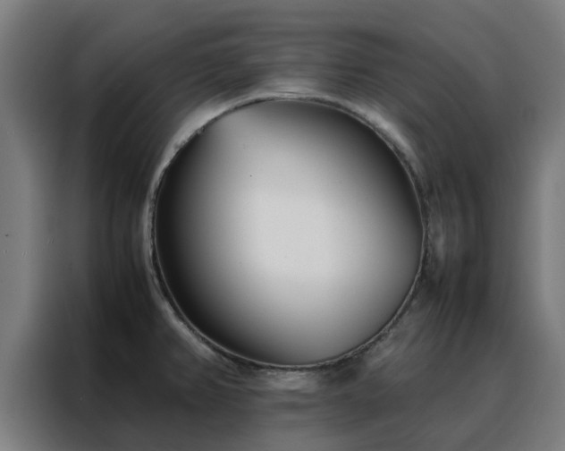 X0000088171382200705221613