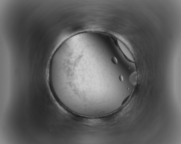 X0000088171383200705221613