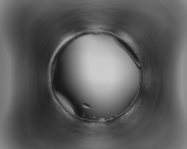 X0000088171384200705221613