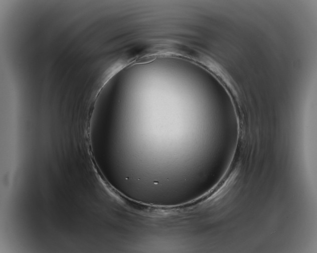 X0000088171385200705221613