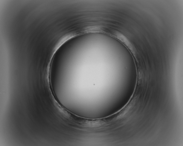 X0000088171386200705221613