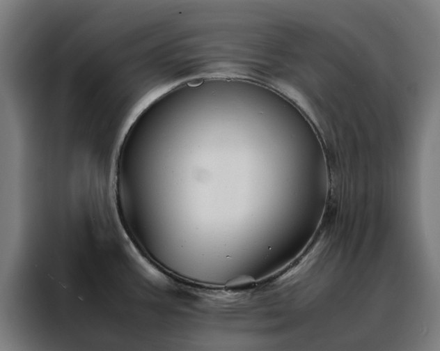 X0000088171387200705221613