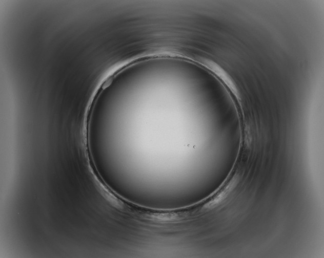 X0000088171388200705221613