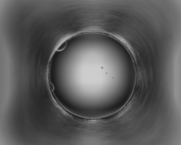 X0000088171390200705221613