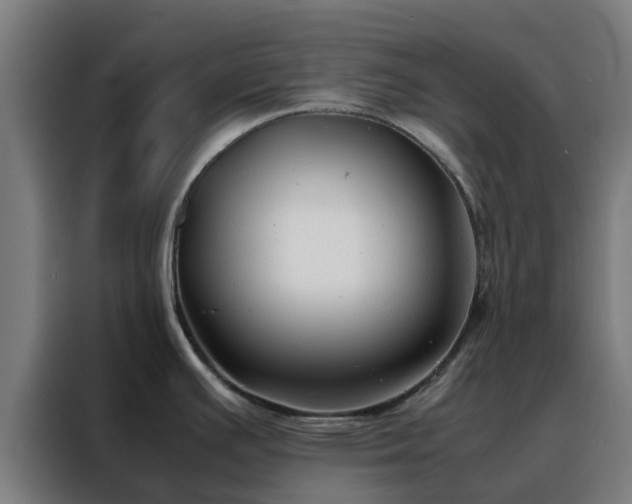 X0000088171391200705221613