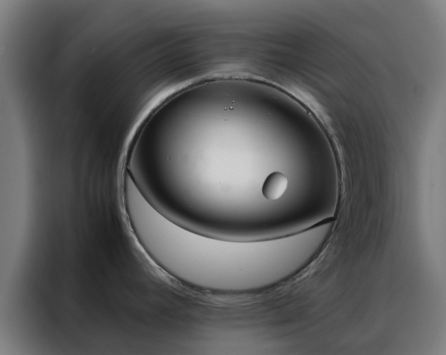 X0000088171392200705221613